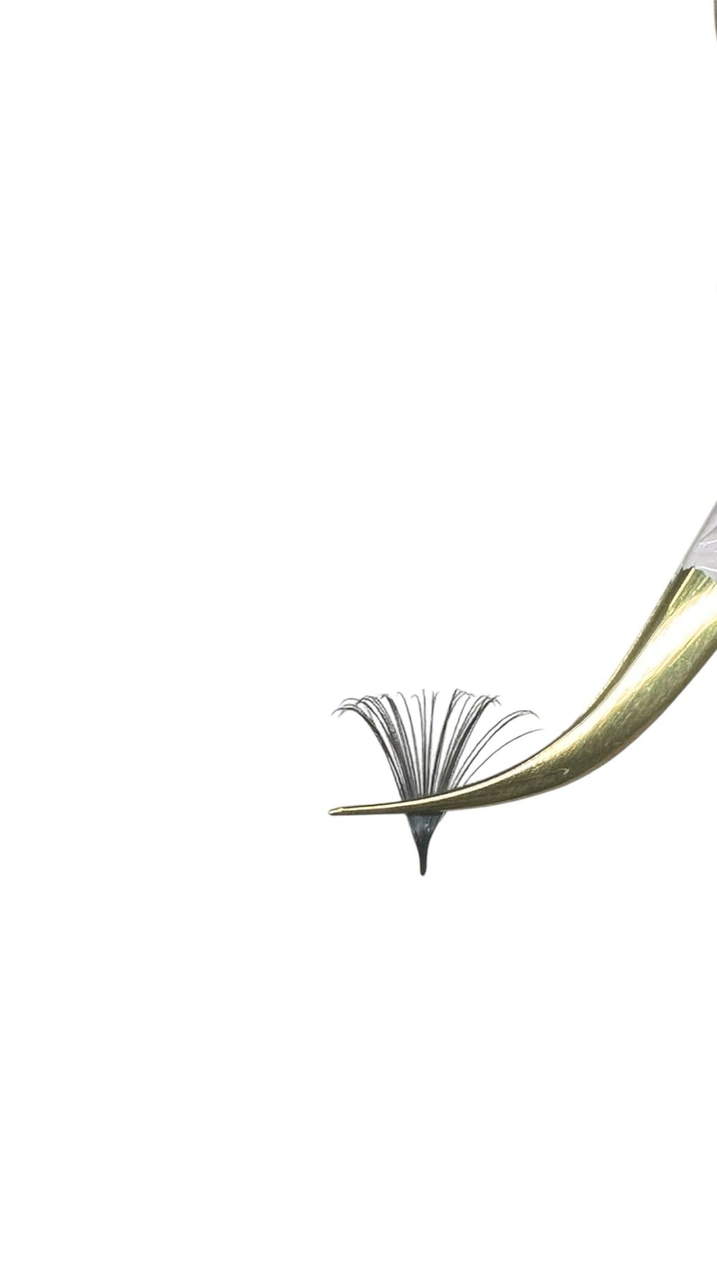 Curve tweezers